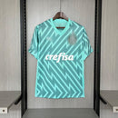 Camisa de Treino do  Palmeiras I 24/25 Puma