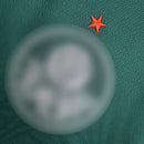 Camisa Palmeiras I [Patch Libertadores] 22/23 Puma - Verde